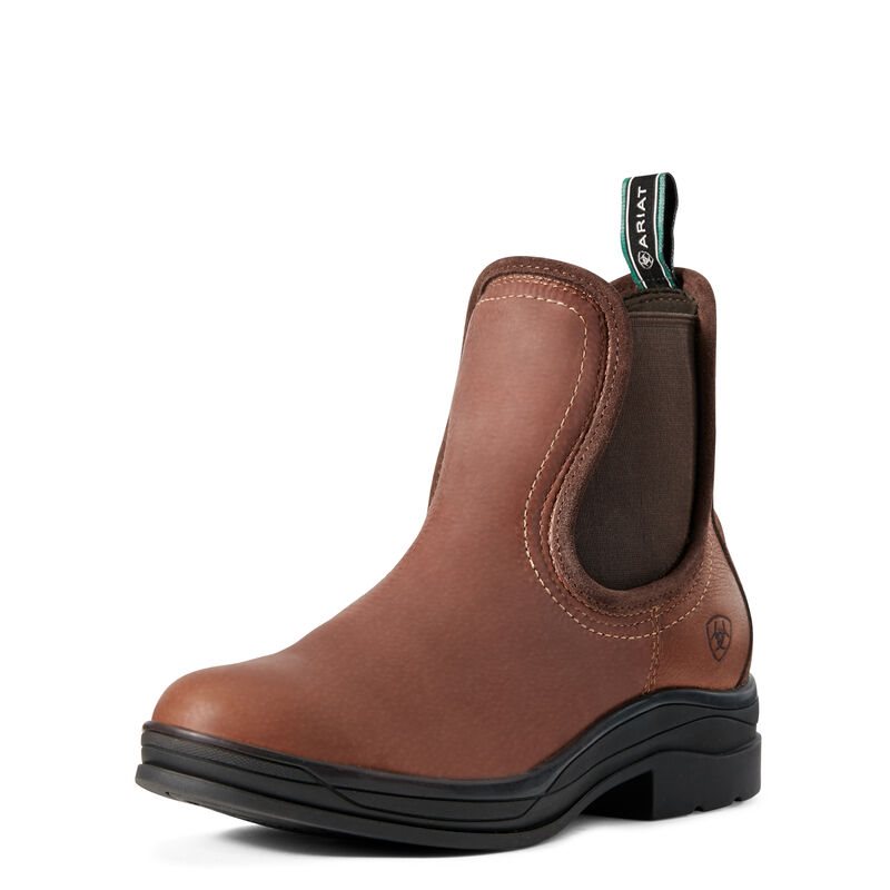 Ariat Keswick - Enkel Laarzen DonkerBruin Dames - 31385-181